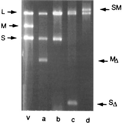 FIG. 12