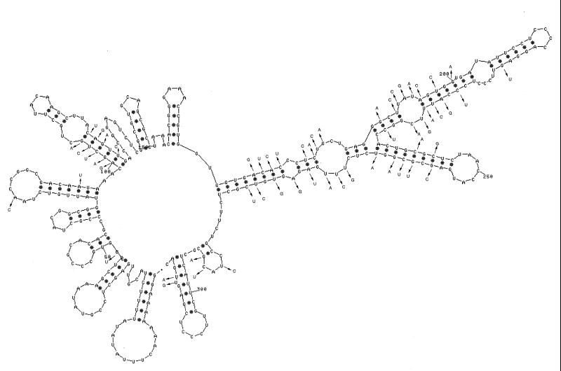 FIG. 7