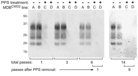 FIG. 8.