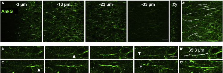 Figure 6