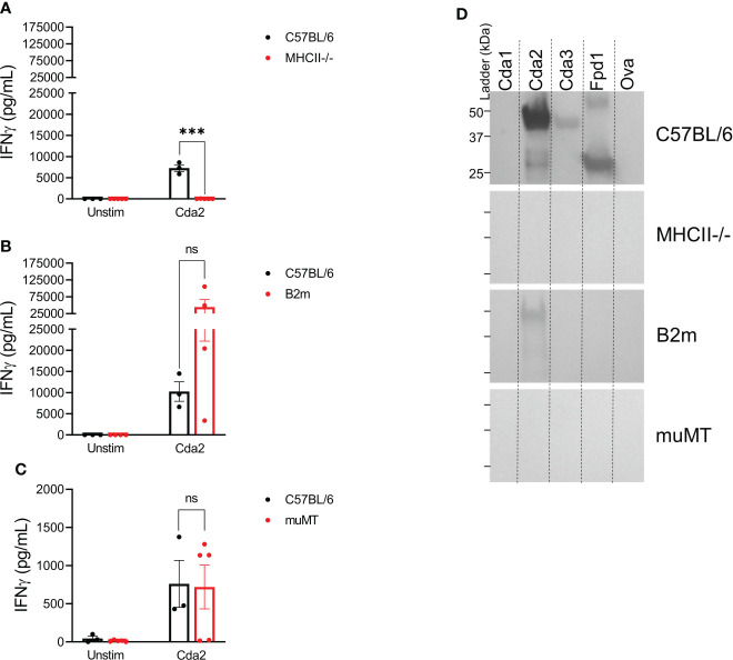 Figure 4