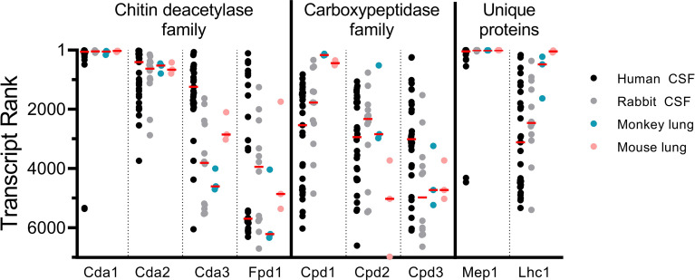 Figure 5