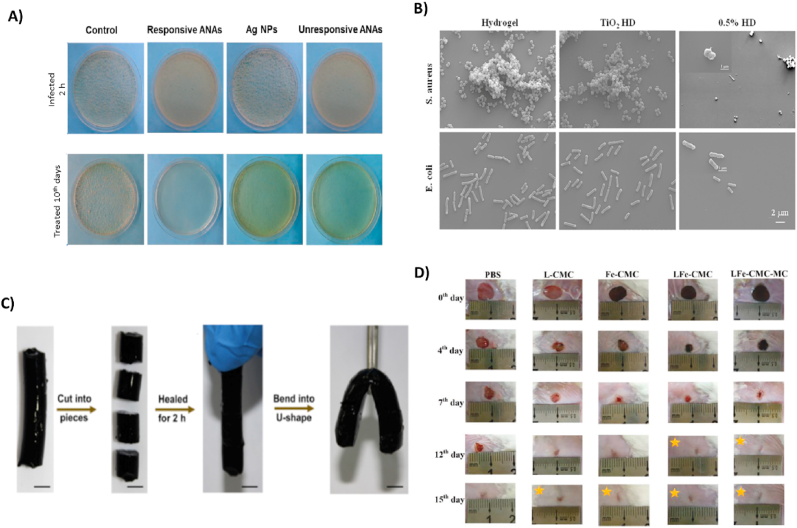 Fig. 7