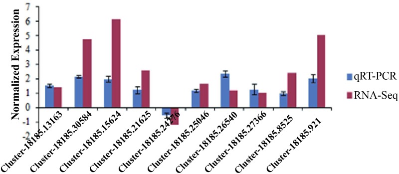 Fig 4