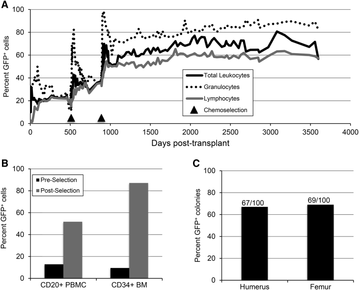 Figure 1