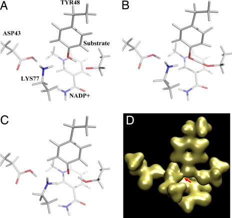 Fig. 3.