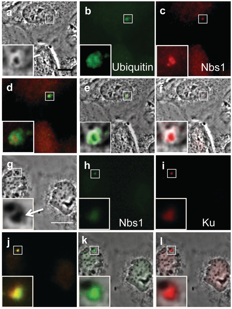 Figure 10.