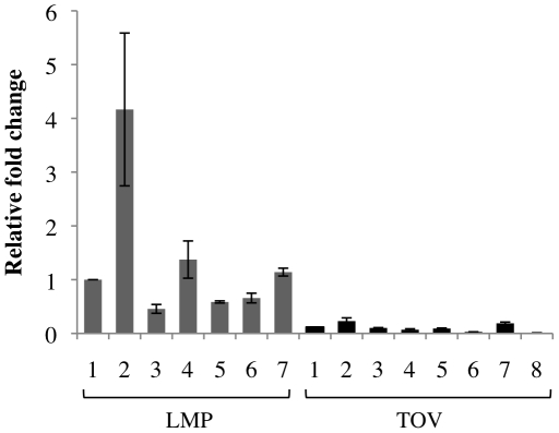 Figure 7