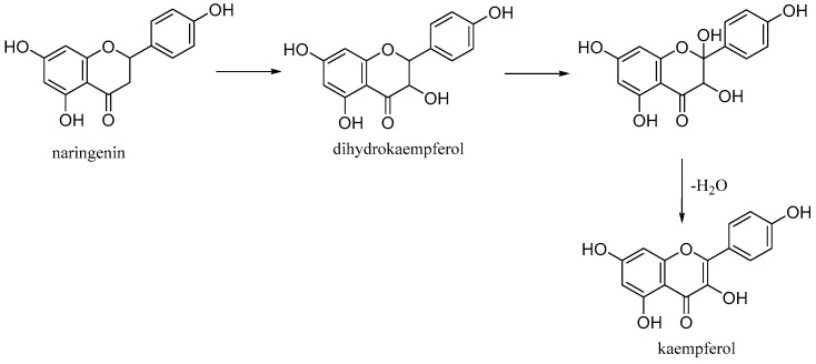 Figure 12