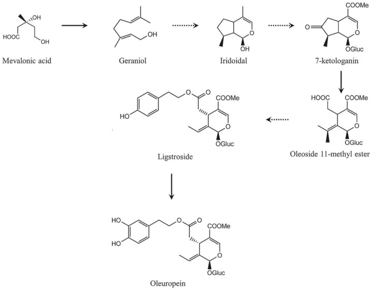 Figure 16