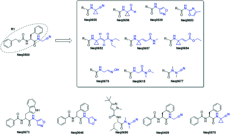 Fig. 1