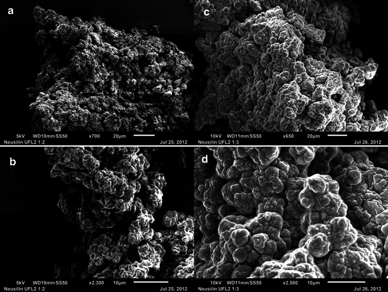 Fig. 11