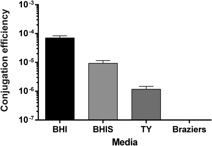 Fig. 2