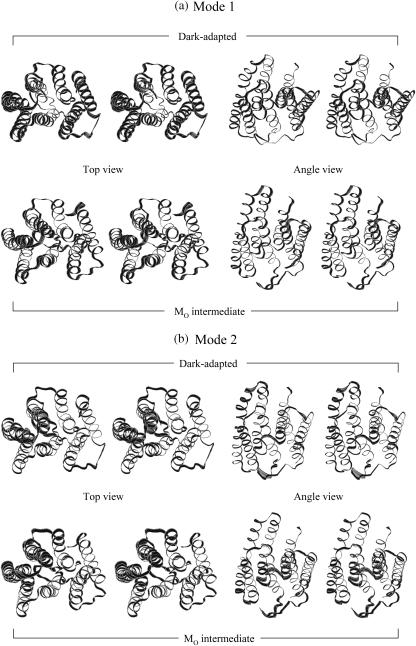 FIGURE 14