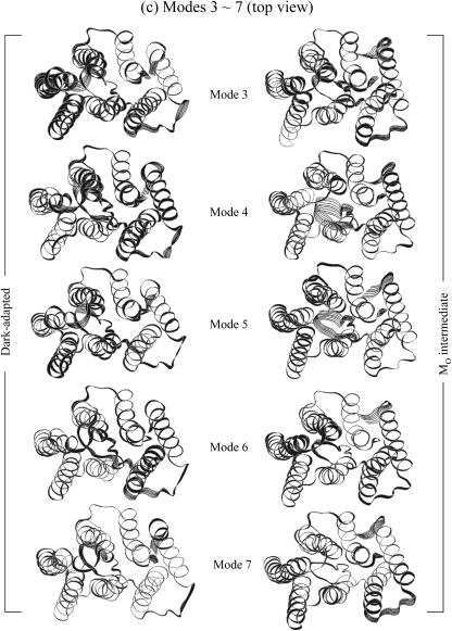 FIGURE 14