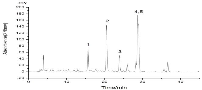 Fig.1