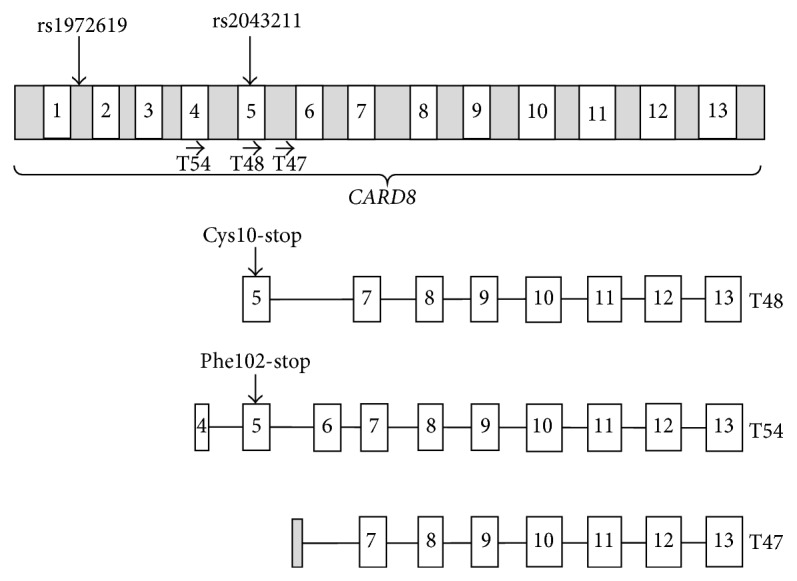 Figure 2