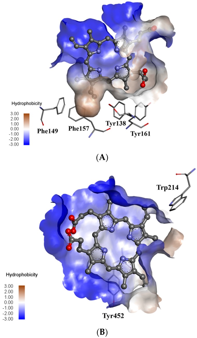 Figure 9