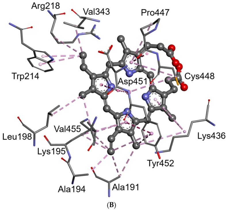 Figure 11