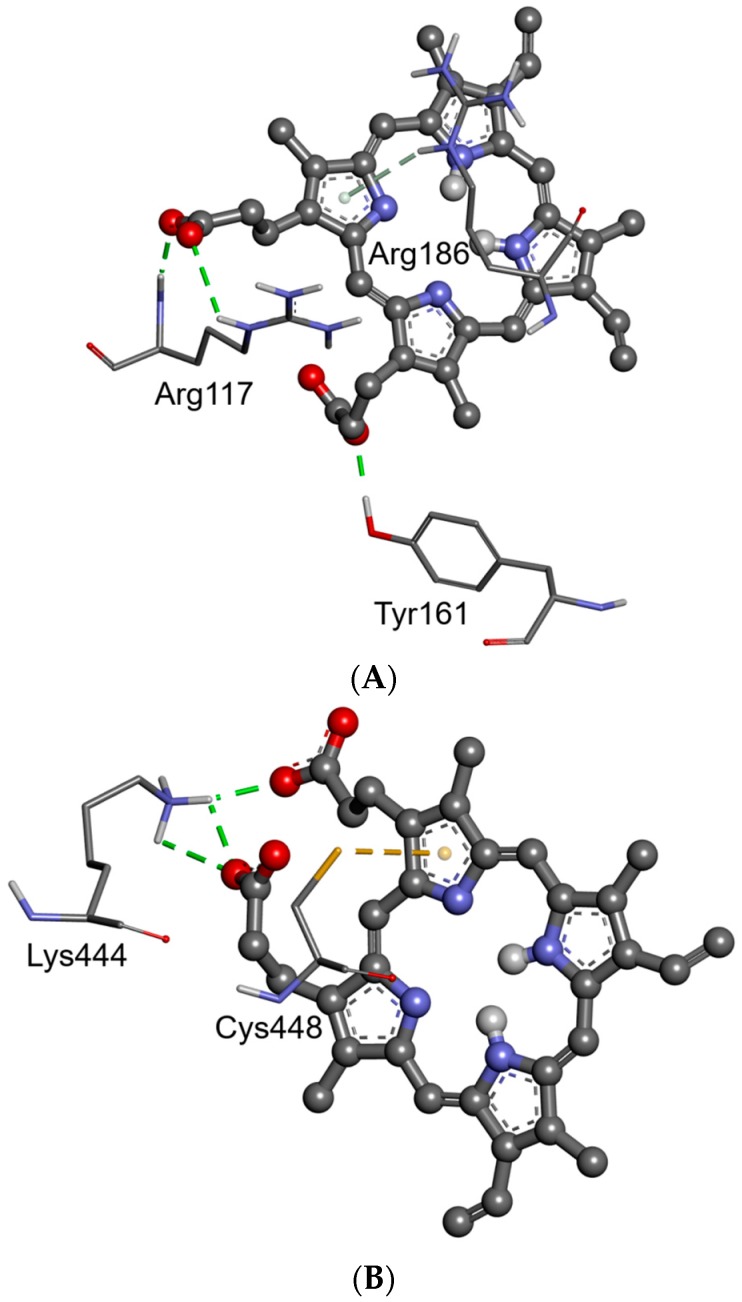 Figure 10