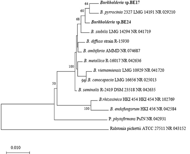 Figure 1