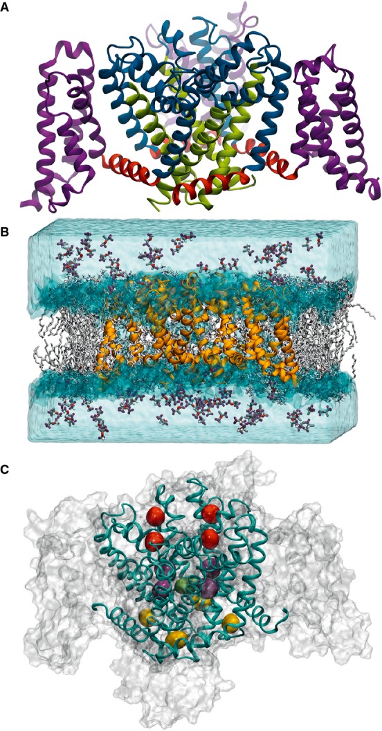 Figure 2