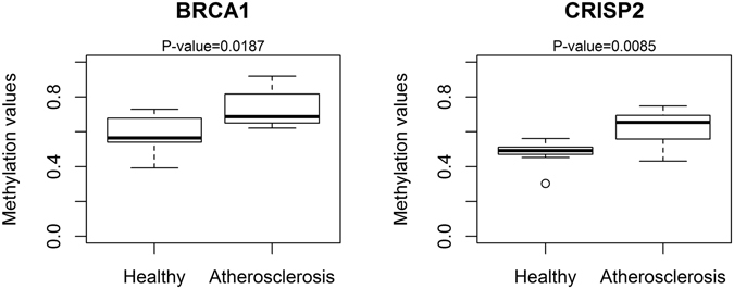 Figure 7