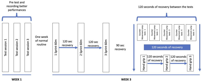 FIGURE 1