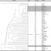 FIG 1