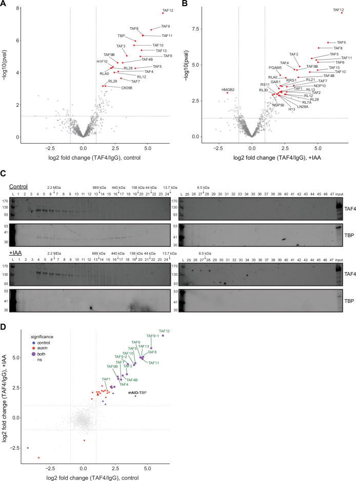 Figure 5—figure supplement 1.