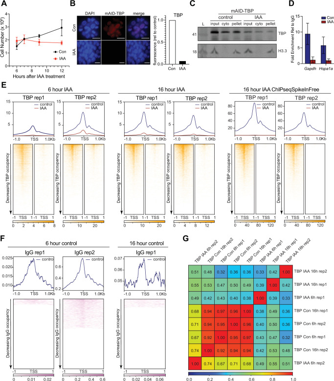 Figure 1—figure supplement 1.