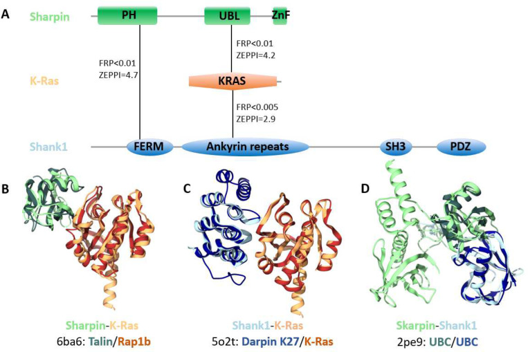 Figure 4.