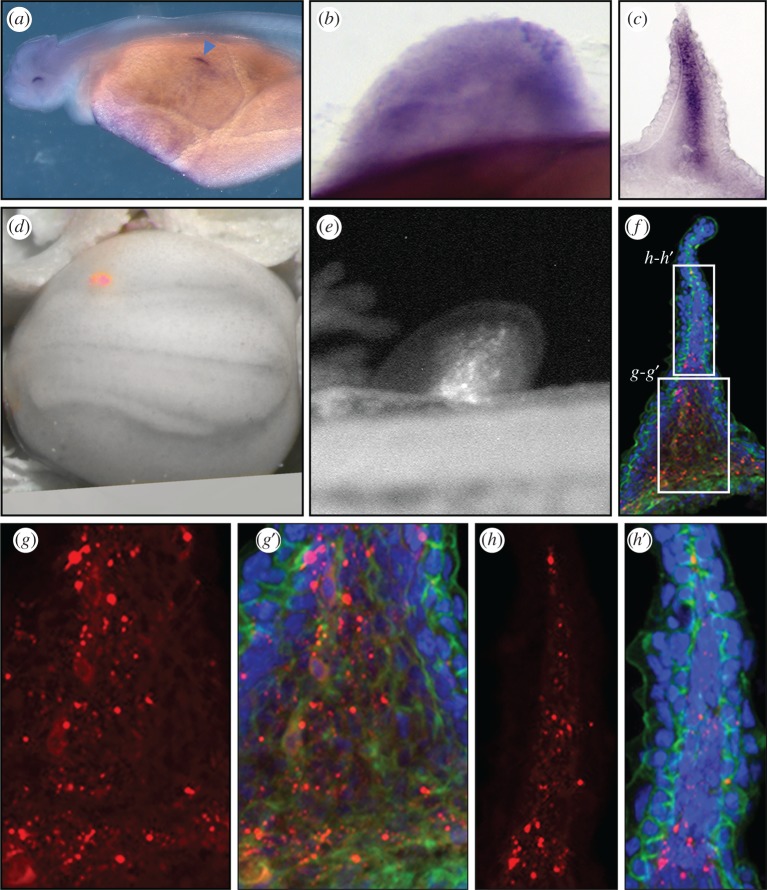 Figure 3.