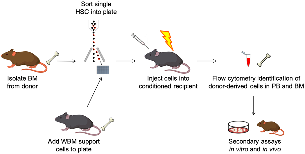 Figure 1.