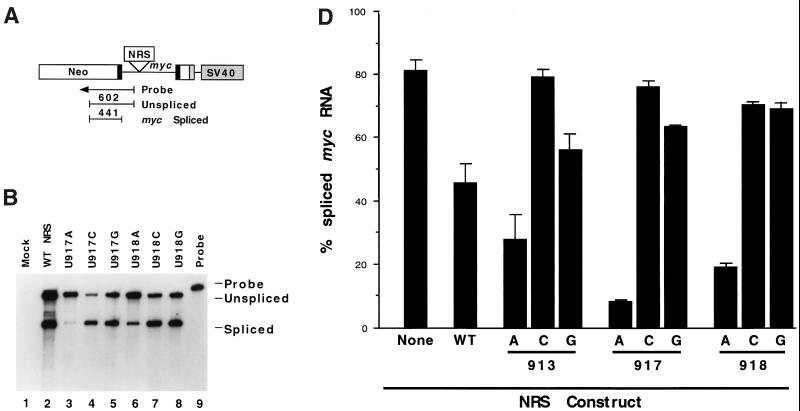 FIG. 1