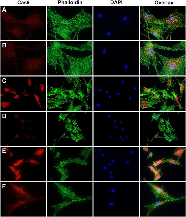 FIG. 4.