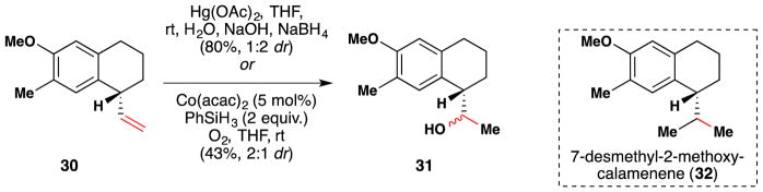 Figure 34