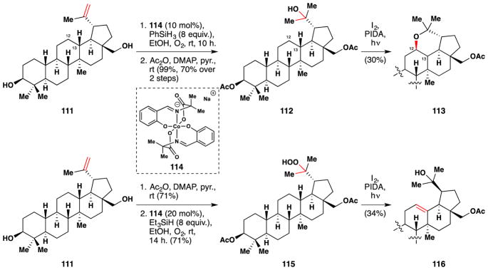 Figure 61