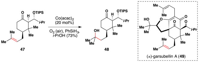 Figure 40