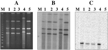 FIG. 4.