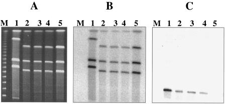 FIG. 7.