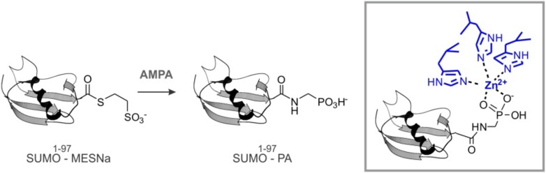 Figure 12.