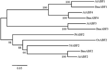 Fig. 2