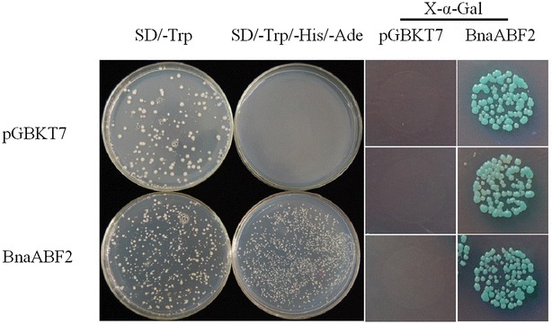 Fig. 8