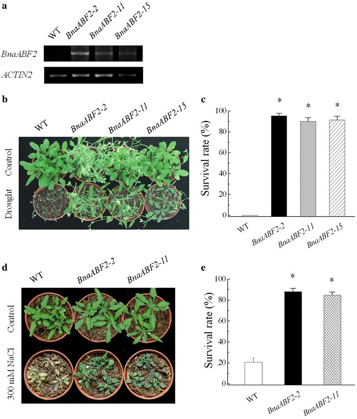 Fig. 4