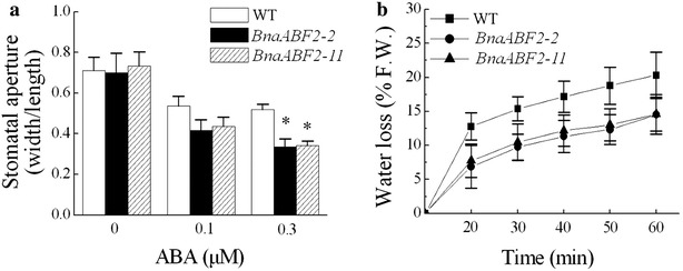 Fig. 6