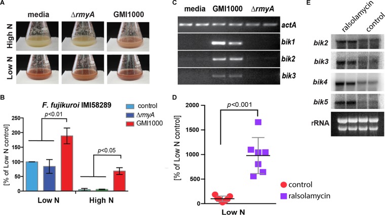 FIG 3 