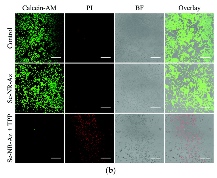 Figure 13