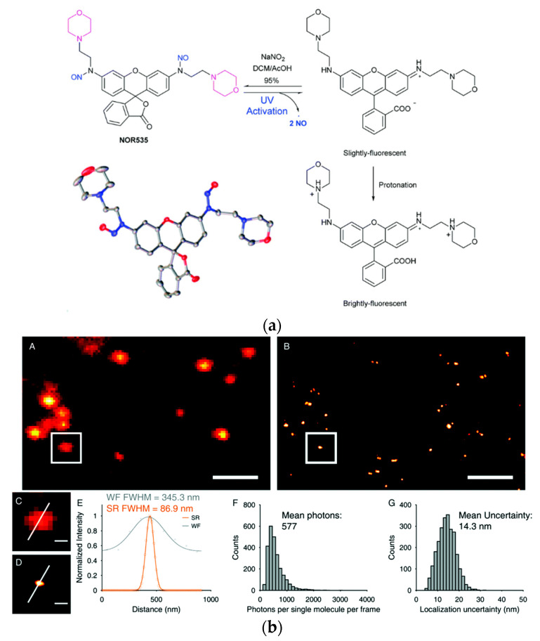 Figure 20