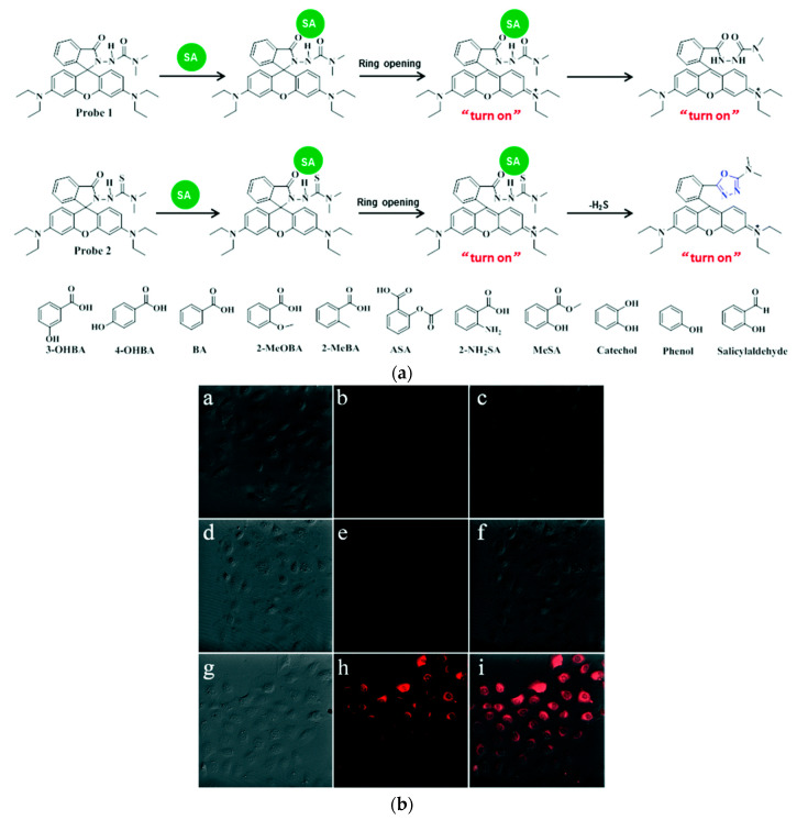 Figure 18